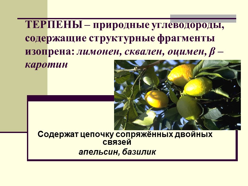 ТЕРПЕНЫ – природные углеводороды, содержащие структурные фрагменты изопрена: лимонен, сквален, оцимен, β – каротин